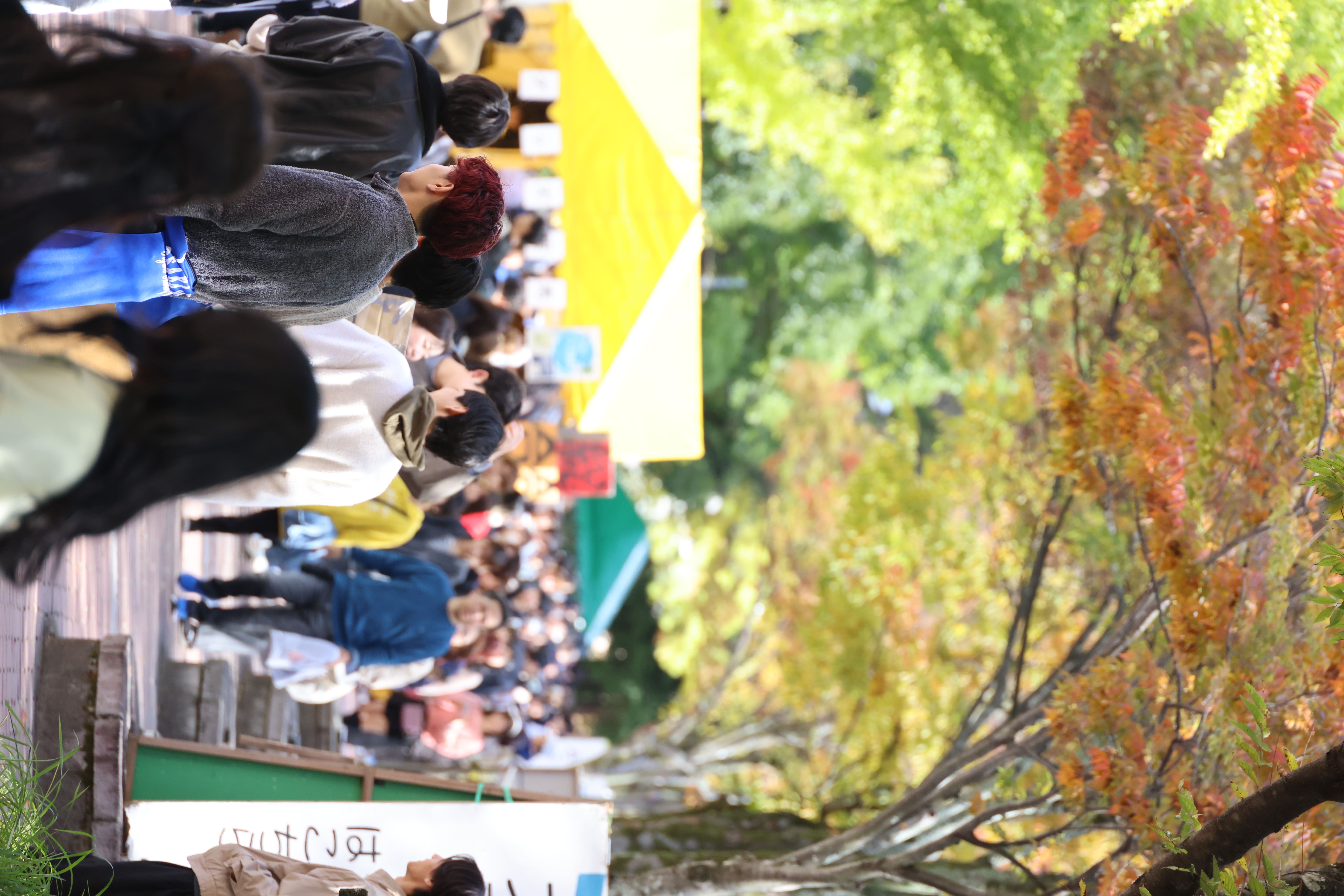 メインストリートの様子が写っている写真